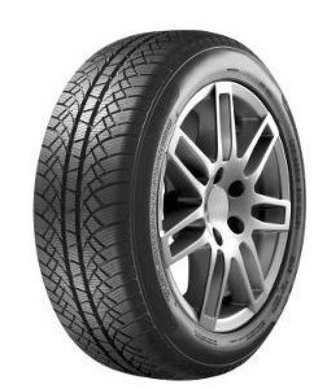 Voyager Winter2 225/45 R17 91H
