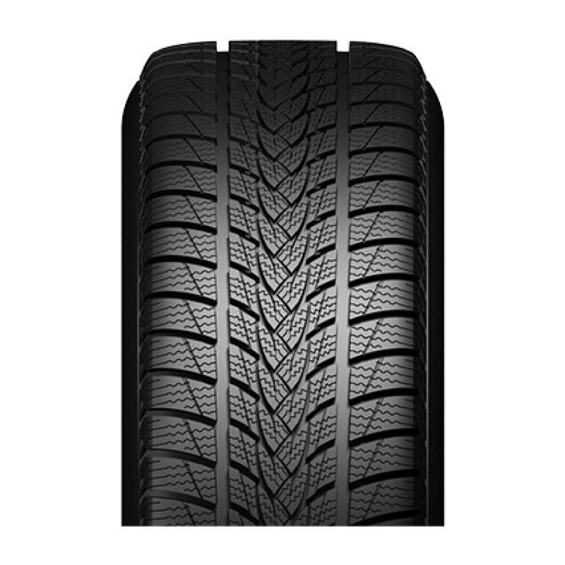 Minerva Frostrack UHP 225/55 R17 101V